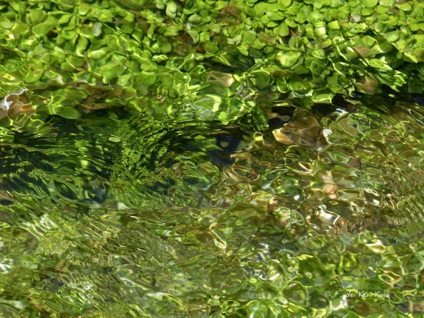 Reflets et tourbillons